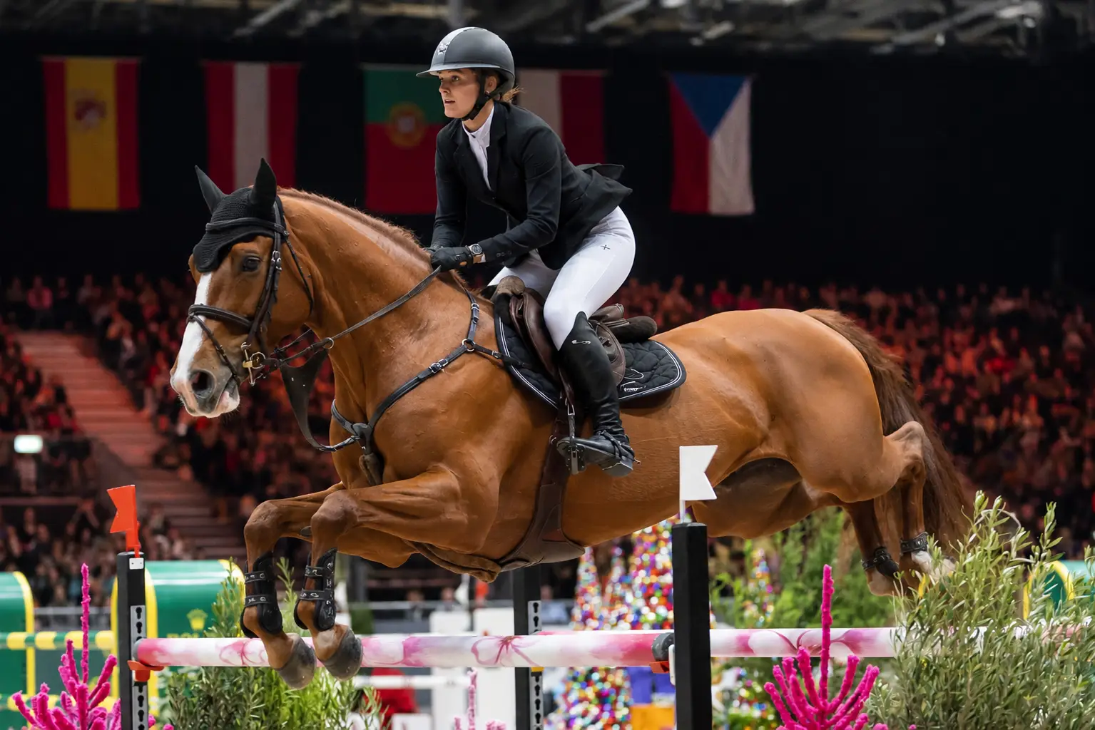 Concours Hippique de Genève Participante dressant son cheval pendant le concours hippique de Genève